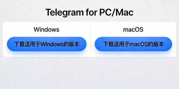 Telegram电脑版官方下载页面截图，展示Windows和macOS客户端下载按钮